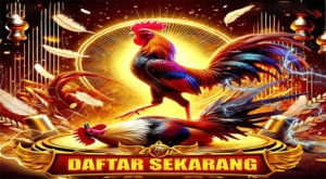 QQ 777 Hoki Apk